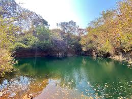 Chilengwa Lake image 1