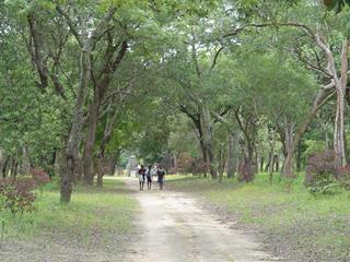Livingstone Memorial image 2