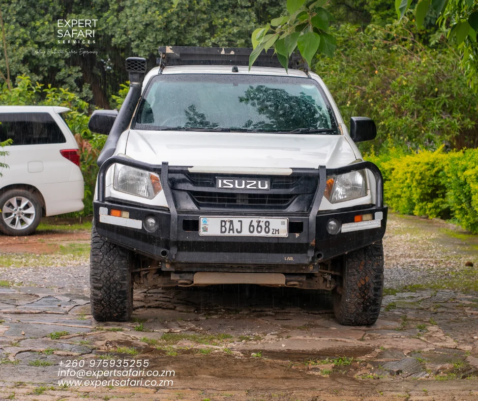 Expert Safari Services