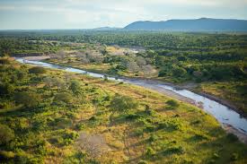 North Luangwa National Park image 3