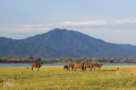Lower Zambezi National Park image 1