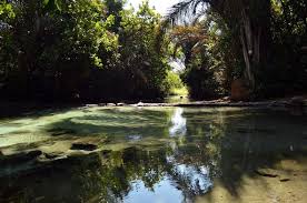 Gwisho hot springs (Lochinvar National Park) image 2