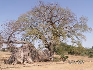 Ing’ombe Ilede image 2