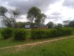 Administrator's House image 3