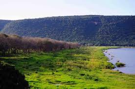 Nsumbu National Park image 2