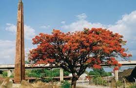 Luanshya Collier Monument image 2