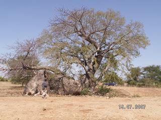 Ing’ombe Ilede image 3