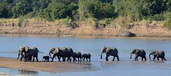 Mosi-oa-Tunya National Park