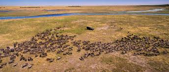 Liuwa Plains National Park