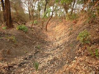 Mpongwe Fortified Village