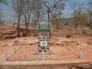 Chirundu Fossil Forest image 1